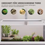 Sköldpaddshus Trä Vit och Grå för Utomhusbruk Terrarium med Fönster och Öppningsbart Tak Två Rum Säker Hage 104 × 53 × 82 cm