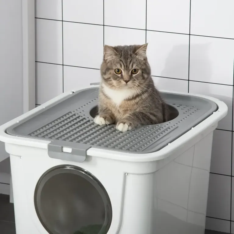 Kattlåda med Två Öppningar och Spade, Vit och Grå