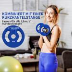 Viktskivor Hantelvikter Blå av Cement och Plast för Styrketräning Set om 2 Vikter för 2,5 cm Stång 4 kg