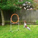 Hoppring för Hundagility Justerbart Träningshinder för Hundsport Vit Orange 74,5 X 66 X 91 Cm