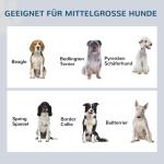 Matbar för Hund med 2 Skålar, Rostfri Foderstation i Låda, Praktisk Förvaring och Halkfri Design, Grå, 2 l