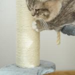 Liten Skrapstolpe med Kattkorg Hängmatta och Sisalpelare Kattträd för Små Katter Grå Ø40 X H65 Cm