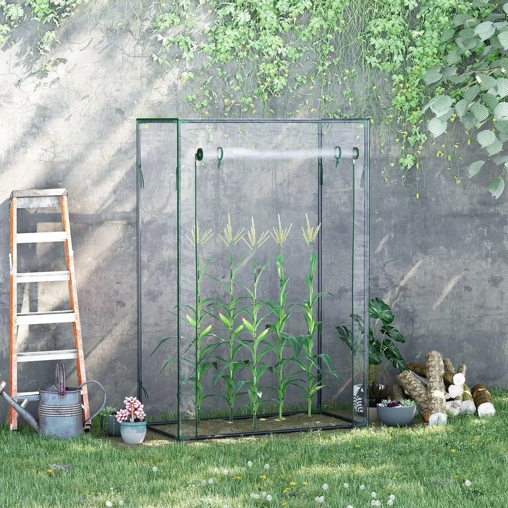 Litet Växthus med Rullgardin Kompakt 100 x 50 x 150 Cm
