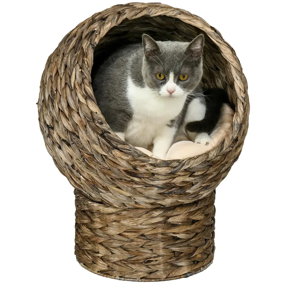 Rottingkattkorg Mysig Kattgrotta med Kudde 42 x 33 x 52 Cm