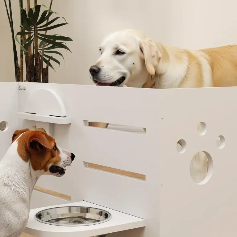Hundskål Matbar Upphöjd Foderskål Vit av Rostfritt Stål