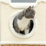 Kattklöspelare 75,5 cm Hög med 3 Våningar, Plyschkant, Kudde och Cat Cave, Gräddvit