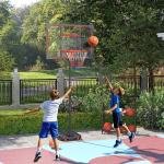 Basketkorg Basketstativ Utomhus Röd av Stål och Plast för Barn 6 År Höj- och Sänkbart Basketsystem med Hjul 210-260 cm