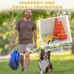 Agilityset Hundträning 6-Delad Blå Gul av Plast för Hundar Häckset med Koner och Bärväska Koordinationsträning