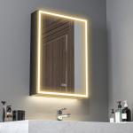Spegelskåp, Badrumsskåp med LED, Dimbar och Anti-imma, Svart, 50x70 cm