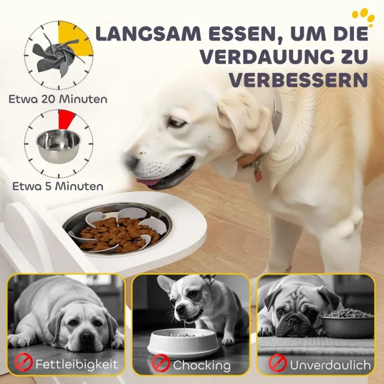 Hundskål Matbar Upphöjd Foderskål Vit av Rostfritt Stål