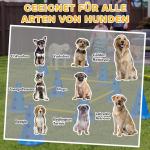Agilityset Hund 6 Hinder Blå Plast för Träning Slalomhinder och Koner med Väska Justerbar Höjd 80 cm