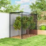 Odlingsbur med Nät Svart Stål och Plast för Trädgård Skyddsbur mot Fåglar och Insekter med Dörr Rymlig och Enkel Åtkomst