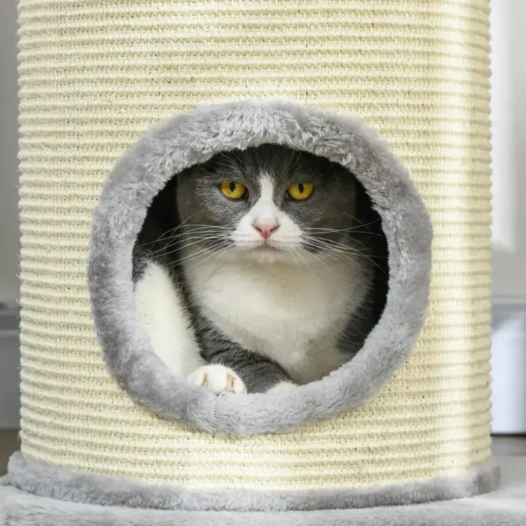 Klösträd för Katt med Sisalpelare och Leksak 100 cm
