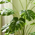 Konstgjord Växt Monstera Grön av Plast för Inomhusbruk Konstträd med 24 Grenar 180 cm