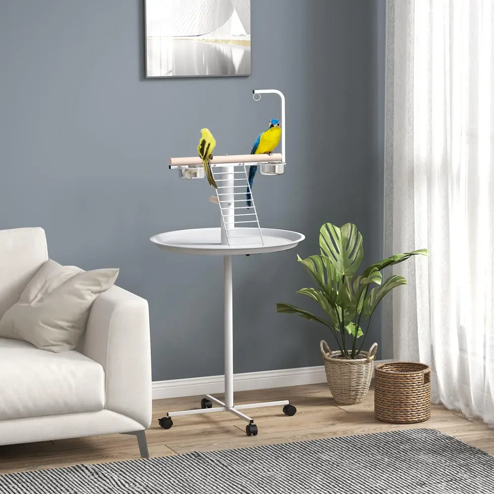 Papegojställning 138 cm med Stege och Gunga