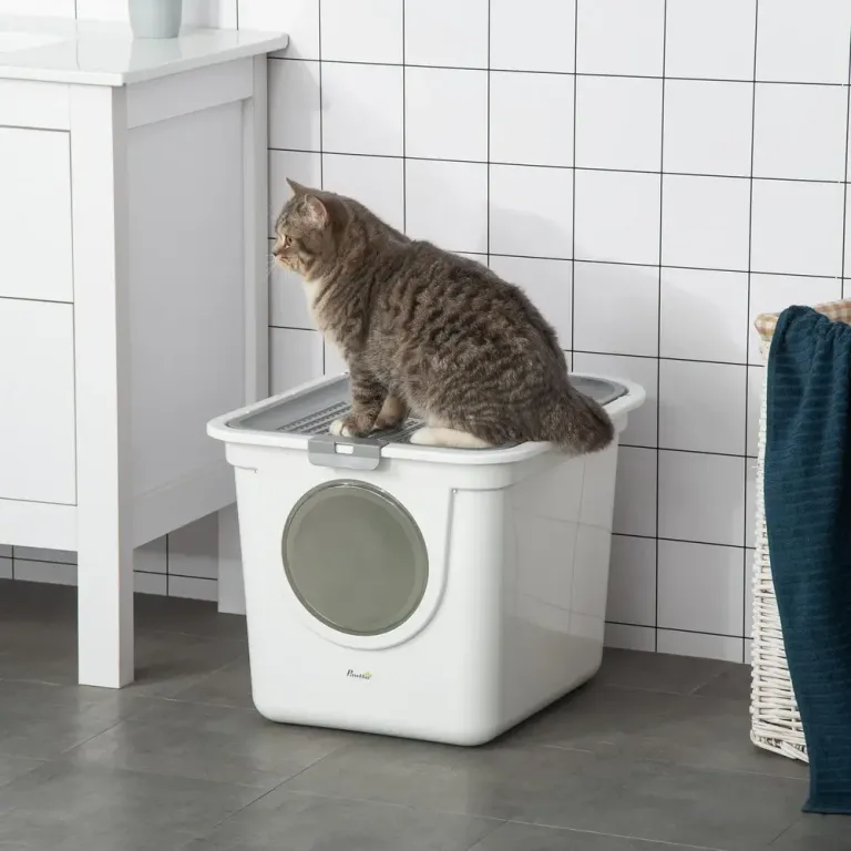 Kattlåda med Två Öppningar och Spade, Vit och Grå