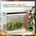 Akvarium Fisktank med Filter och LED-Belysning Svart av Glas och Plast för Fiskar Komplett Set med Pump 26 l 38 x 26 x 38 cm