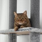 Klösträd Takhög Grå av Sisal och Plysch för Katter Skrapstolpe med Kattgrotta och Korg 225-255 cm