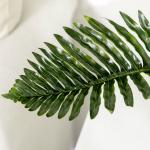 Konstgjord Tropisk Palm med Planteringskärl, Grön + Svart, 50 cm