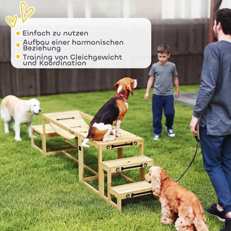 Dog Agility Set Hundträning med Bro och Trappor Natur