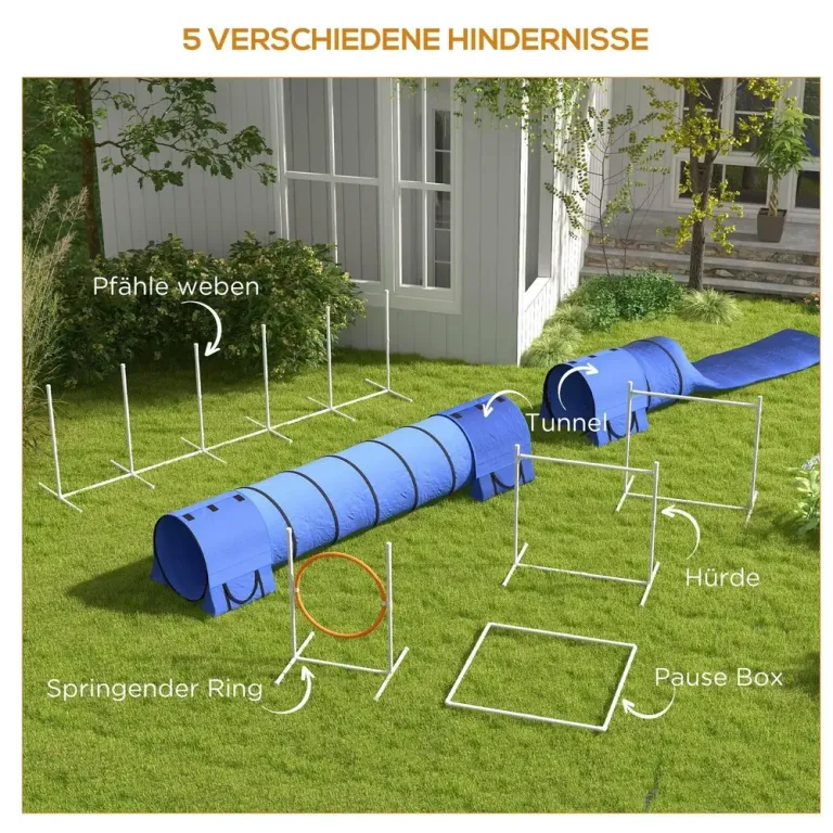Agility Träningsset Hundsport Flerfärgad av Plast
