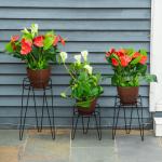 Blomställ i Metall 3-Pack, Dekorativa Växtställ för Krukor, Eleganta Blompallar för Inomhus och Utomhus, Svart, 16 cm