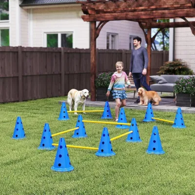 Agilityset Hund 6 Hinder Blå Plast för Träning 80 cm