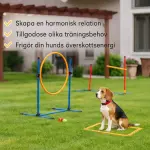 Agilityset Hundträning 9-Delad Blå Gul av Plast för Hundar Häckset med Slalomstänger och Bollar Koordinationsträning
