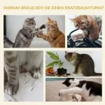 Kattklättervägg 7-delat Set med Katthus, Plattform och Hoppplattformar, Grå