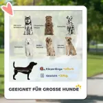 Hundvagn Dog Buggy, Hopfällbar med Liggdyna och Stålram, Röd/Svart