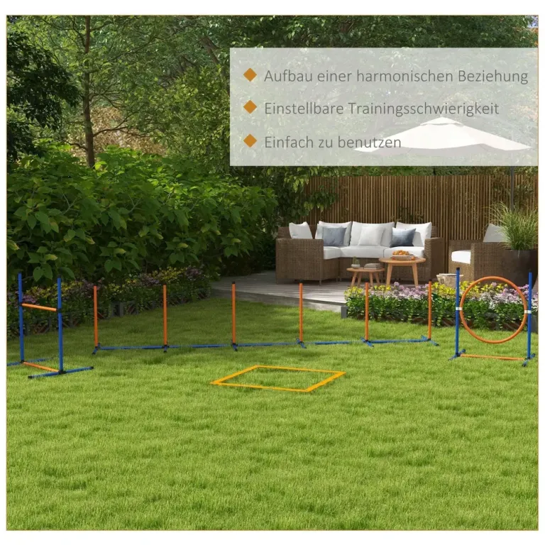 Agility Träningsset Hundsport Blå Gul av Plast för Hundar
