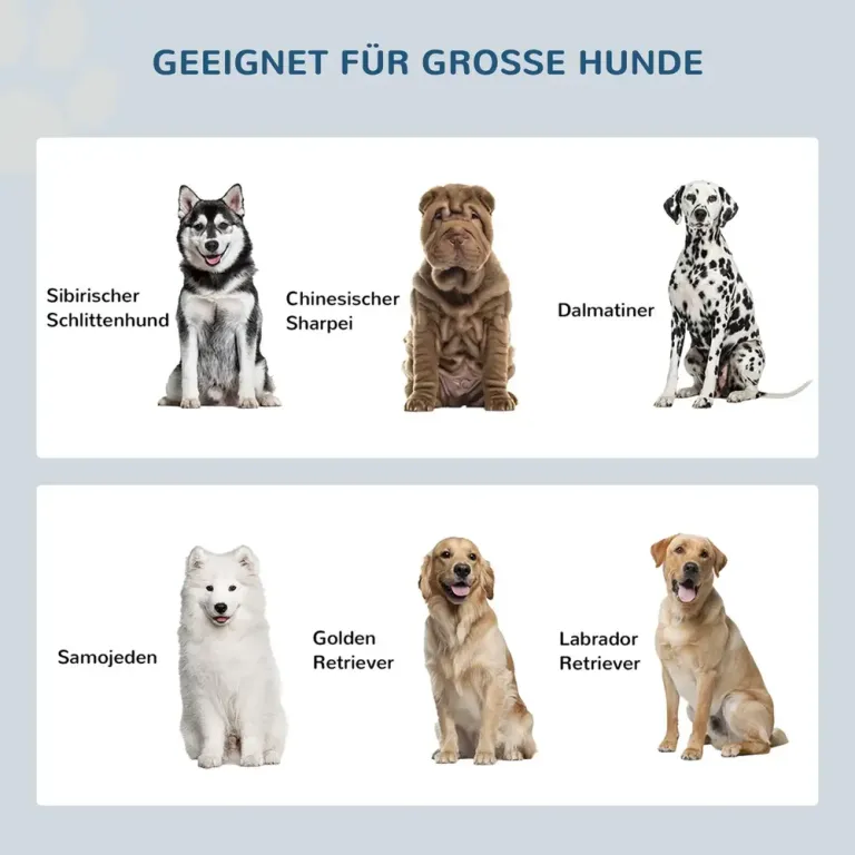 Foderstation Hundskålar Upphöjd Matbar med Förvaring 44 l