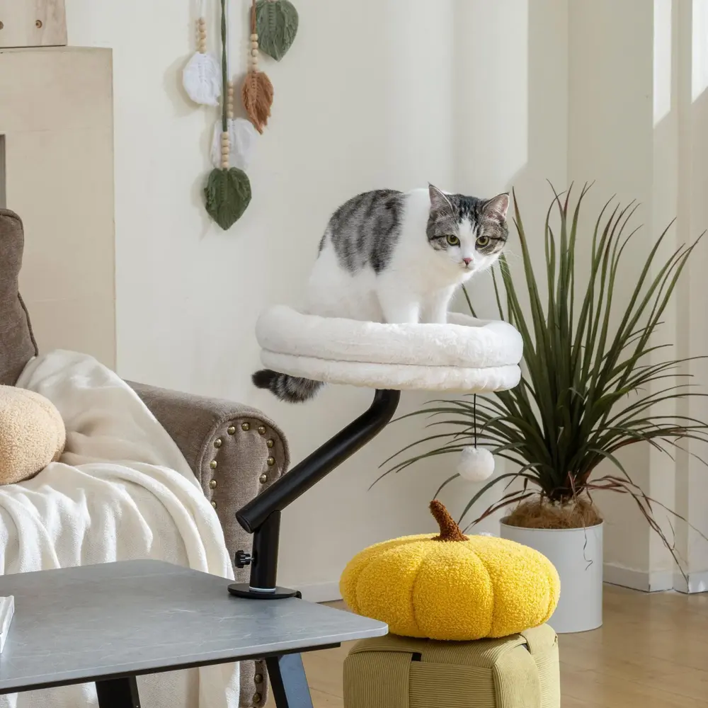 Kattbordssäng Kattsäng för Skrivbord med 360° Rotation