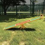 Agility Rocker för Hundar 180 X 30 X 30 Cm Idealisk Valpleksak för Hundsport och Träning