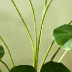 Konstgjord Växt Monstera Grön av Plast för Inomhusbruk Konstträd med 24 Grenar 180 cm