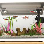 Akvarium Fisktank med Filtersystem Vit av Glas för Tropiska Fiskar Kompakt Akvarium med LED Belysning 17 L