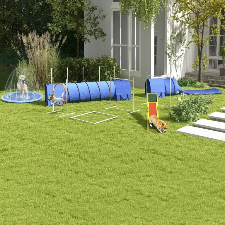 Agility Träningsset Hundsport Flerfärgad av Plast