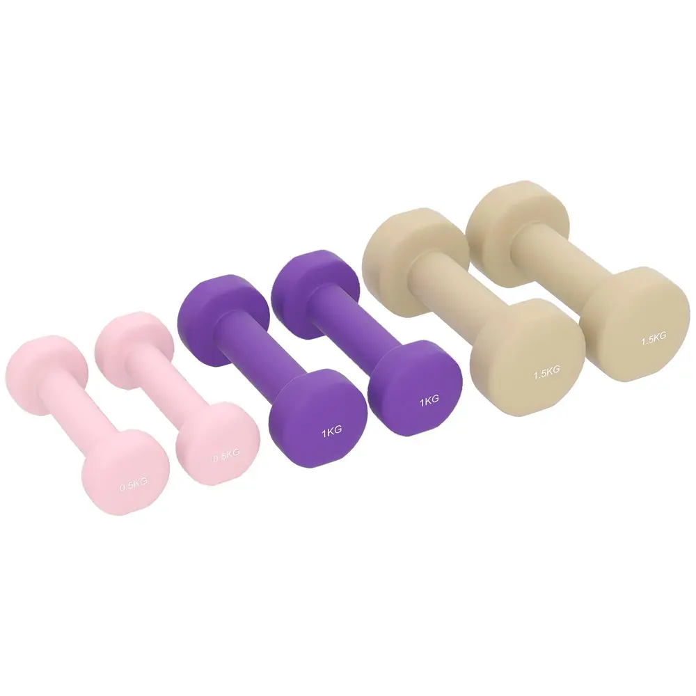 Hantelset 6-Delat med Fodral för Hem och Gym 0,5 kg 1