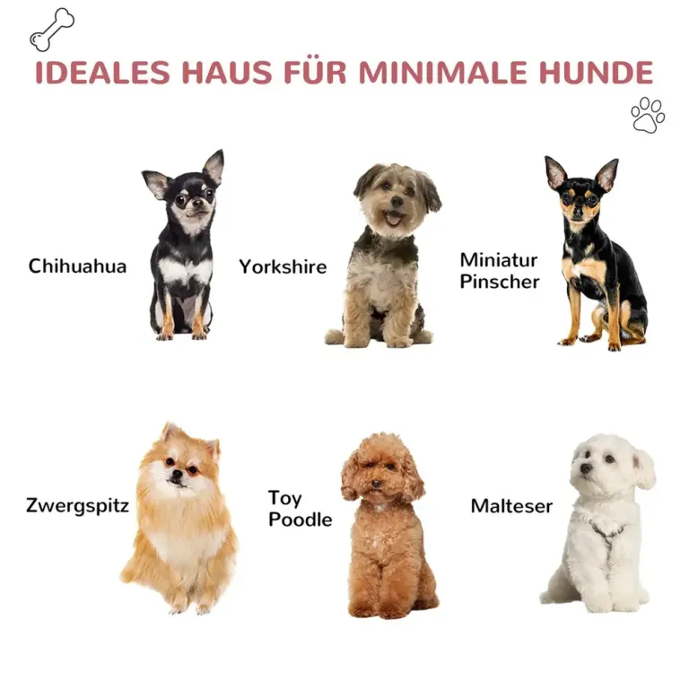 Hundkoja med Öppningsbart Tak Isolerat för Små