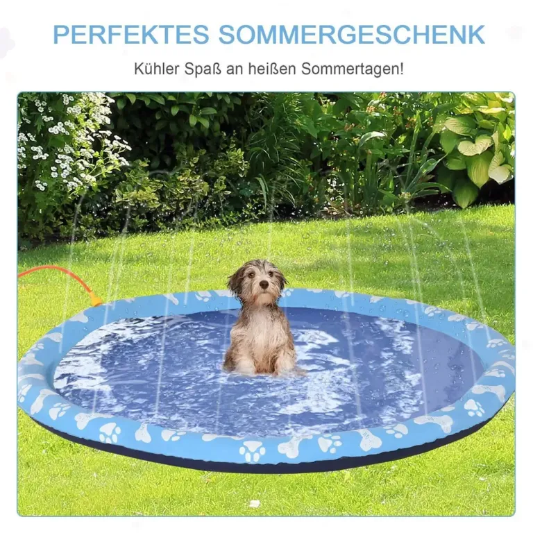 Hundpool Hopfällbar Plaskdamm för Hund 170 cm