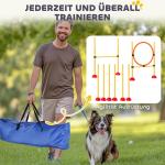 Agilityset Hundträning 4-Delad Blå Gul av Plast för Hundar Häckset med Slalomstavar och Hoppring Koordinationsträning