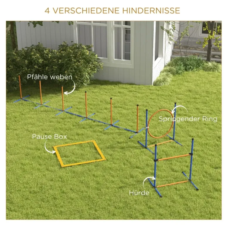 Agility Träningsset Hundsport Blå Gul av Plast för Hundar