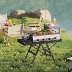 Höj- och Sänkbart Fällbart Campingbord med Metallgaller i Aluminium