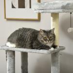 Skrapstolpe Kattträd Beige av Sisal och Plysch för Kattälskare med Kattgrotta och Hängande Säng 2 Plattformar Lekboll 141,5 cm