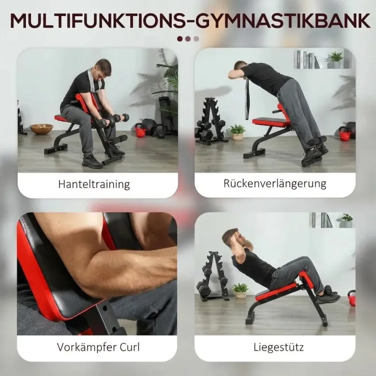 Hopfällbar Träningsbänk och Rygglyftare Max 300 kg, Svart