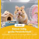 Hamsterbur 3 Våningar Naturfärgad Trä och Plexiglas för Smådjur Stor Bur med Hus och Tillbehör Rymlig Design och God Ventilation