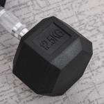 Hexagon Hantel i Gjutjärn, Gummerad Vikt med Räfflat Grepp, Ergonomisk Hantel för Styrketräning och Fitness, Svart, 1 x 12,5 kg
