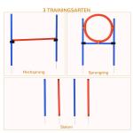 Agility Träningsset Blå Röd PE och Polyester för Hundsport 3 i 1 Slalom Tunnel och Hoppring Justerbar