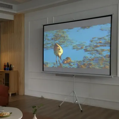 Projektorduk 4:3 Bioduk för Presentation Hem
