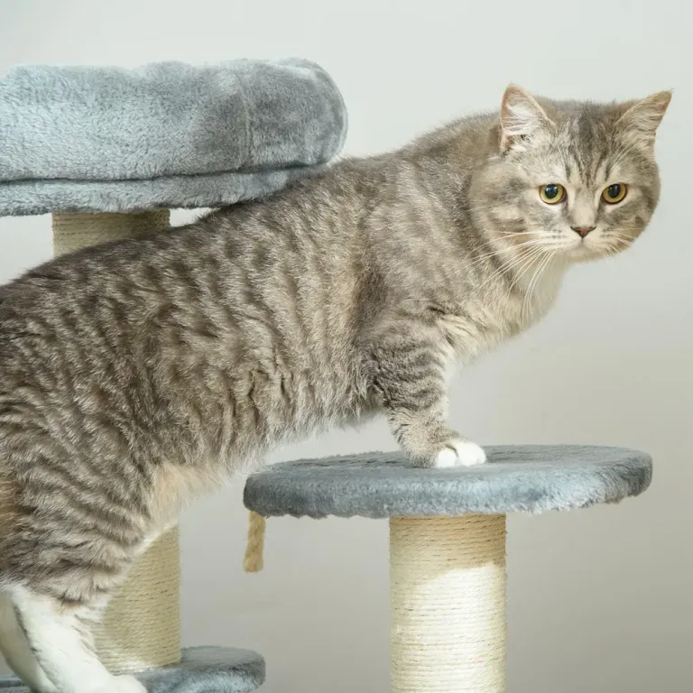 Klösträd för Katter med Sisalpelare 65 cm